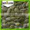 Grade AA pumpkin kernel/pepitas to Europe market