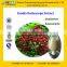 GMP Manufacturer Supply Natural 5%-98% Evodiamine