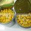 Cheap Canned Sweet Kernel Corn Price Best Factory Canned Corn price