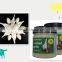China famous brand Mashed garlic/GARLICE PASTE