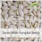 snow white pumpkin seeds kernels carving kit
