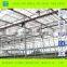 Tomato Greenhouse for Sale