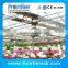 vegetable small galvanized pipe solar greenhouse