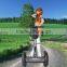 Auto Balancing 2 Wheel Electric Chariot Balance Scooter Think Car W8+ 68