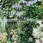 SJ0409010 Good lookling plastic greenery wall artificial plant wall making