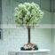 most popular table artificial mini cherry blossom tree fake cherry blossom tree