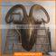 Fiberglass Carving Stature of Goat Head, Sheep Head Wall Decoration
