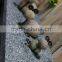 GAB605 Natural Stone And Iron Tortoise Sculpture
