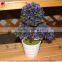 Home and office decoration potted gift items artificial plants mini potted plants