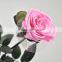 Valentine's Day Gift Cheap Wholesale Preserved Roses With Long Stem