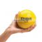 High Quality Custom Exercises Fitness Sand Soft Weight Ball