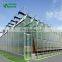 2019 Professional Well-Designed Glass Greenhouse Hydroponics
