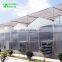 Multispan Tunnel Polycarbonate Panel Greenhouse for Agriculture