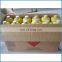 small gas cylinder, propane gas cylinder,cheap propane gas bottle+welding torch