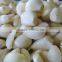 2016 new crop peeled fresh garlic clove