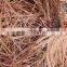 Scrap copper/scrap copper wire /99.99%