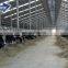 Steel Structure Complete Poultry Farm Shed Design for Pig/Cow/Goat