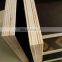 Wbp Glue Poplar Core Building Construction Film Face Plywood  1220*2440*18mm Plywood