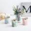 Ceramic Succulent Planter Creative Porcelain Mini small Pink Ceramic Flower Pots With Gold Black Metal Stand