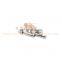 Foton Auman/Aumark/Miler/Land Pioneer Weichai Engine Gearbox Zf/Fast Truck Spare Parts 90003901604 Cylindrical Pin -1
