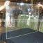 10mm X-ray Lead Glass,Protective glass/ Anti radiation Lead Glass