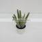 Handmade indoor decoration artificial ornamental plants/artificial plants and trees