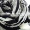 white and black printed polyester designer scarf