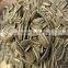 High Quality Raw Sunflower Seeds for Oil Price