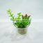 PVC Artificial Potted Grass Plastic Bonsai in Glass Terrarium for wholeselling