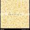 China Glossy Terracotta Residential Tiles Glazed Tile