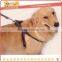 Pet dog nylon leash