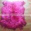 Fashion Long Hair Tibet Lamb Plate Fur Goat Fur Kidassia Fur Plate