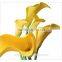 china wholesale indoor decoration calla lilies flower with long stem