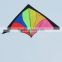 2015 New style Chinese Factory Delta Kite