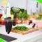 Ceramic kitchen knife and vegetable peeler