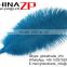 ZPDECOR Trade Assurance Leading Supplier Wholesale Size from 20-22'' Cheap Dyed Dodger Blue Ostrich Feather for Wedding Decor