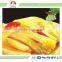 with FDA ISO pickled vegetable product with pickling production line