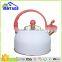 Fashionable design 2.5L induction bottom whistling kettle stainless steel tea kettle
