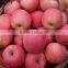 2015 New Crop Fresh Fuji Apple