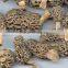 organic morels conica mushroom dried morel