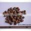 High absorbing and storing water Expanded Clay Balls/LECA for Hydroponics