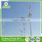 Best Professional Reliable Quality 500w small vertical wind turbine street lights for home