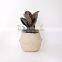 Indoor plants basket/Seagrass storage basket/Seagrass belly basket