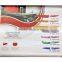 KN-9741 7pcs colorful non-stick coating knife set