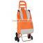 colorful shopping foldable trolley bag with wheels