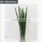 Manufacturing maguey garden decoration indoor decoration handmade plant for sale