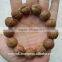 Buddha Chitta 13 Beads Bodhi Seed Genuine Indonesian Phoenix Eye Mala Phrengba