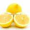 Fresh citrus fruits /Yellow Eureka Fresh Lemon