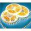 LED Flexible Strip Light--5mm