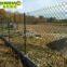 Galvanized Chain Link Fence